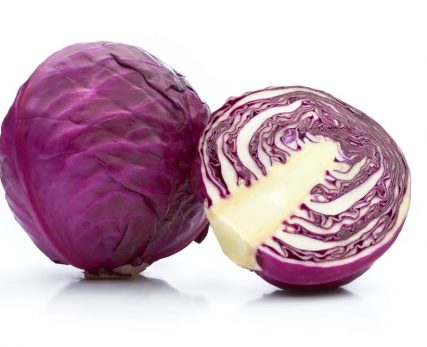 vegetable-123