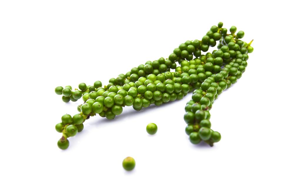 vegetable-14