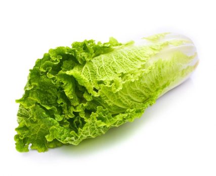vegetable-15