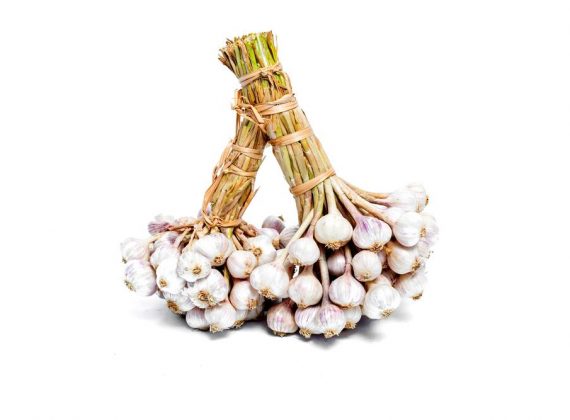 Fresh Ly Son Garlic