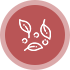 icon-box